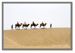 Frame_IMG_7590 eweb