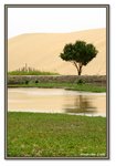 Frame_IMG_7594 eweb