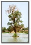 Frame_IMG_7595 eweb