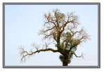 Frame_IMG_7597 eweb