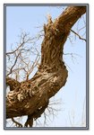 Frame_IMG_7598 eweb