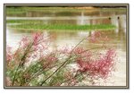 Frame_IMG_7599 eweb