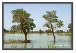 Frame_IMG_7602 eweb