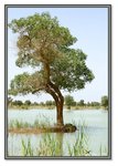 Frame_IMG_7604 eweb