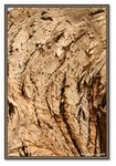 Frame_IMG_7607 eweb