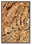 Frame_IMG_7608 eweb