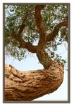 Frame_IMG_7610 eweb