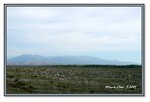 Frame_IMG_7193 eweb