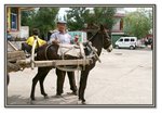 Frame_IMG_7199 e2web