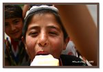 Frame_IMG_7210 eweb