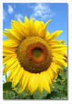Frame_IMG_6985 eweb