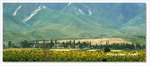 Frame_IMG_7239 eweb