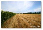 Frame_IMG_7251 eweb