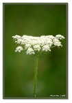 Frame_IMG_7271 eweb