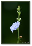 Frame_IMG_7276 eweb