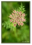 Frame_IMG_7288 e2web