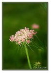 Frame_IMG_7290 eweb