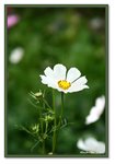 Frame_IMG_7846 eweb