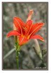 Frame_IMG_7847 eweb