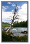 Frame_IMG_6730 eweb