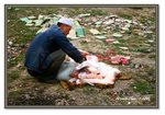 Frame_IMG_7849 eweb
