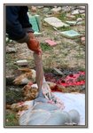 Frame_IMG_7856 eweb