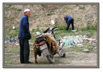 Frame_IMG_7857 eweb