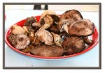 BBQ mushrooms
Frame_IMG_6658web