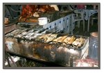 BBQ fish
Frame_IMG_6980 eweb