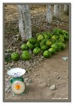 Frame_IMG_7229 eweb