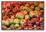 Frame_IMG_7381 eweb