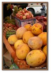 Frame_IMG_7382 eweb