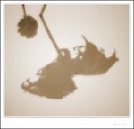 IMG_7621 de sepia