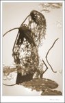 IMG_7682 e de sepia