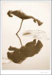 IMG_7737 de sepia
