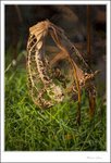 IMG_7756 ec