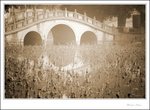 IMG_7810 ec sepia