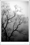 Wuyuan 061 bw