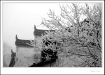 Wuyuan 139 bw
