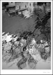Wuyuan 156 bw
