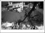 Wuyuan 157 bw