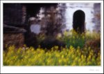 Wuyuan Montage001 ec