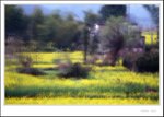 Wuyuan Montage018