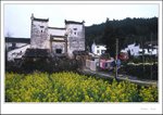Wuyuan 010