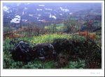Wuyuan 055