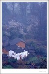 Wuyuan 067