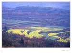 Wuyuan 073