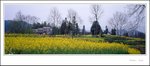 Wuyuan xpan005