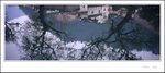 Wuyuan xpan006