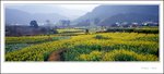 Wuyuan xpan011